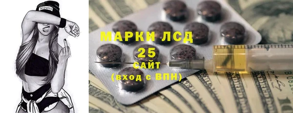 прущие грибы Каменногорск