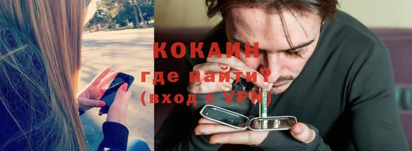 прущие грибы Каменногорск