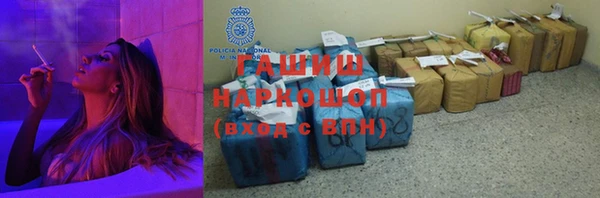 прущие грибы Каменногорск