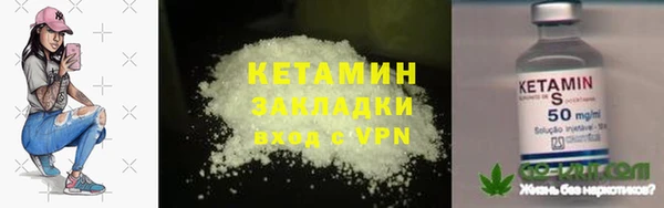 прущие грибы Каменногорск