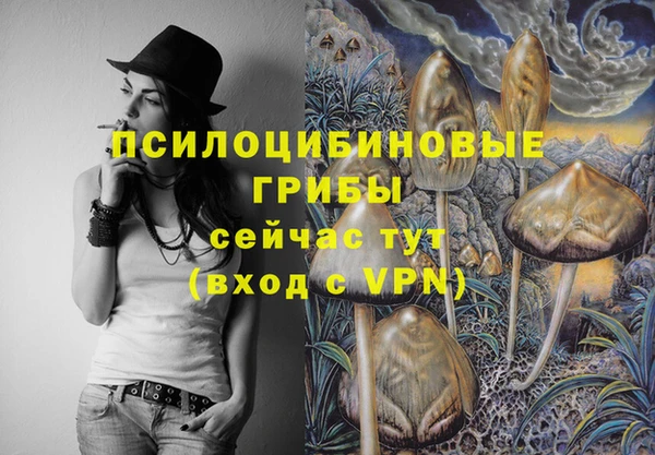 прущие грибы Каменногорск