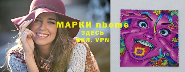 прущие грибы Каменногорск