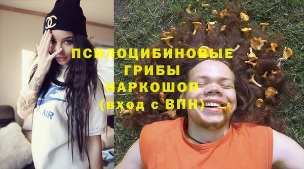 прущие грибы Каменногорск