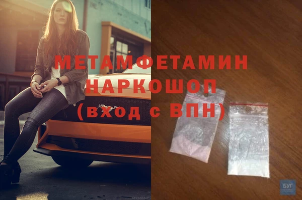прущие грибы Каменногорск