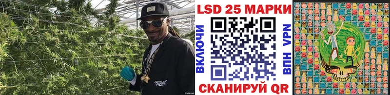 Купить где  Гусев  Наркотические марки 1,8мг 