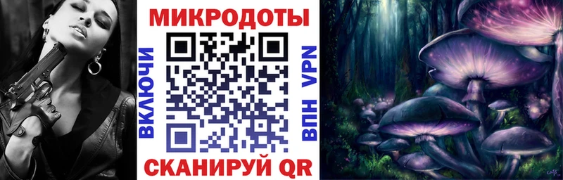 Галлюциногенные грибы прущие грибы  Купить  Гусев 